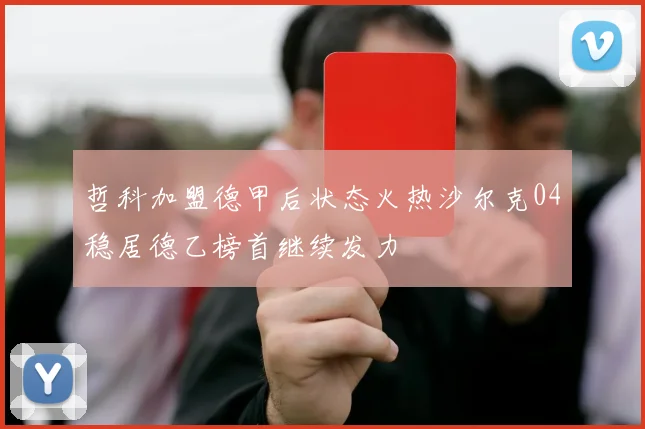 哲科加盟德甲后状态火热沙尔克04稳居德乙榜首继续发力
